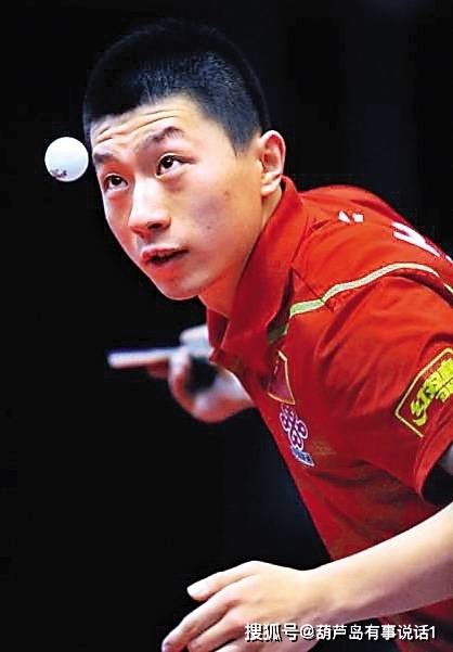 场地适应训 场地适应训