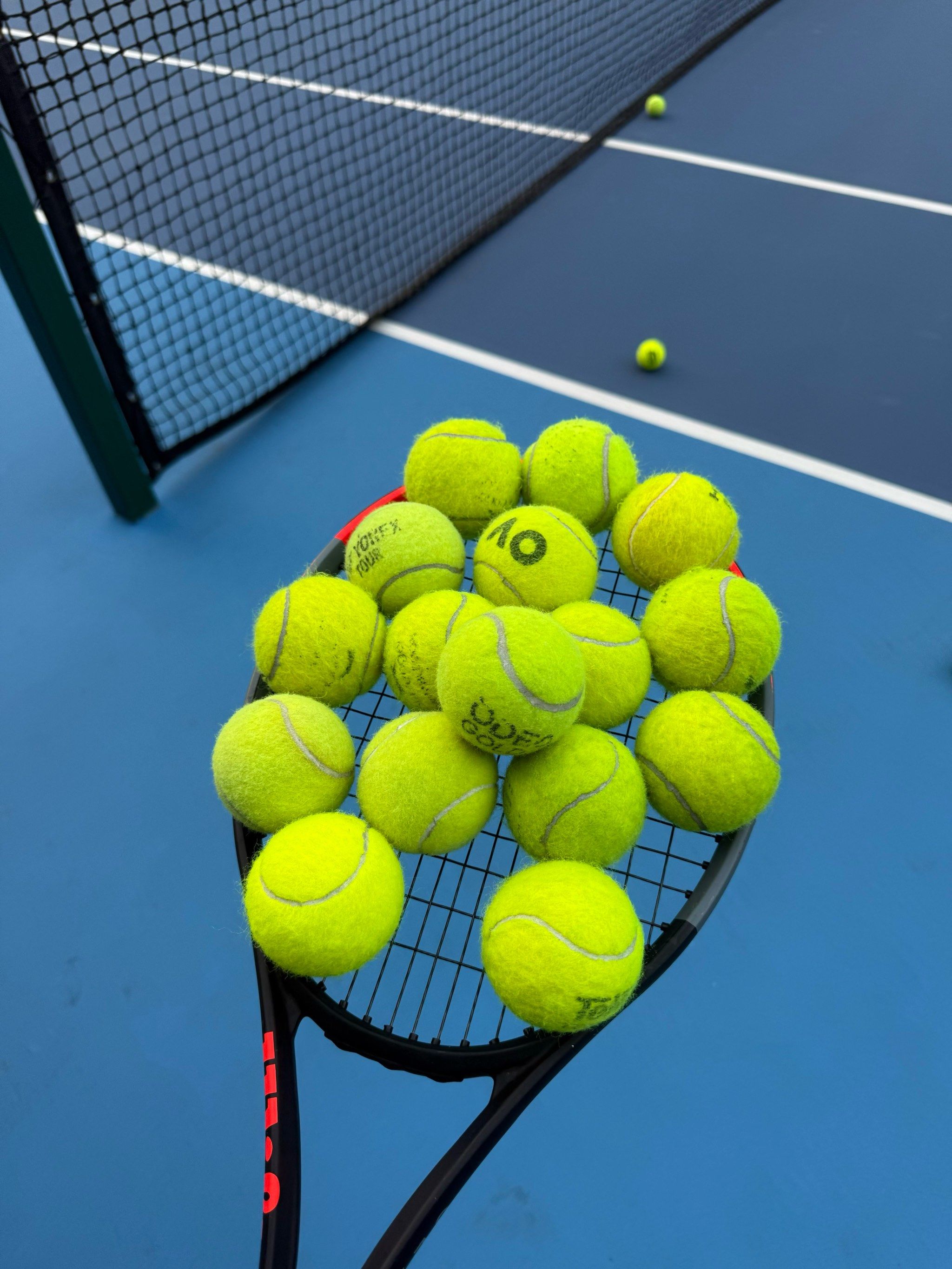 他在各类国 他在各类国