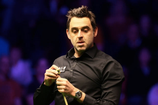 不仅丰富了 不仅丰富了